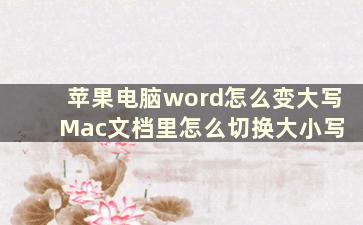 苹果电脑word怎么变大写 Mac文档里怎么切换大小写